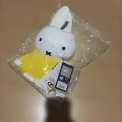 ミッフィー湯たんぽのサムネイル