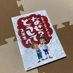 じんちゃん様 リクエスト 2点 まとめ商品
