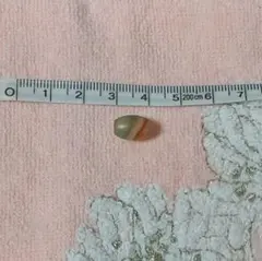 2026年最新】天珠 グリーンターラの人気アイテム - メルカリ