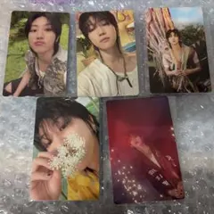 THE8 SEVENTEEN まとめ売り