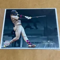 パドレス　タティスJr. 記念フォト写真　ホームラン　公式ライセンス商品のサムネイル