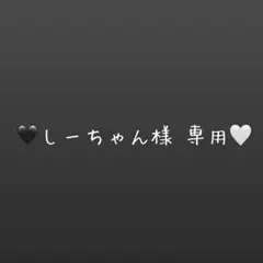 しーちゃん様専用