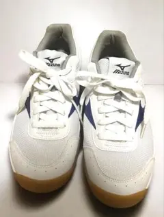 美品MIZUNOシューズVDM-1019　26cm