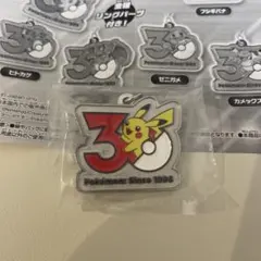 2こセット】ポケパークピンバッジゼニガメ・ガチャガチャ30thヒトカゲ
