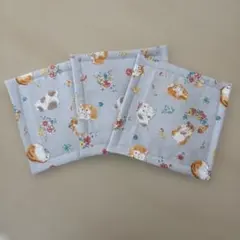 ポケットティッシュケース 4枚組 柴犬柄 和柄 ブルー ベージュ