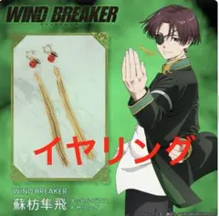 ‌*ゆ様 呪術廻戦 禪院直哉 ピアス&イヤーカフセット＋ネームプレート 3