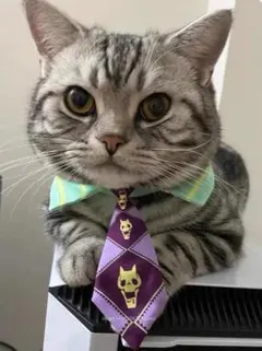 Item thumbnail for item 479daa33-6f71-4634-8a4d-723f32c09b28