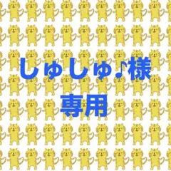 しゅしゅ♪様 リクエスト 2点 まとめ商品