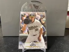 Item thumbnail for item 7c6a5cc5-e0b4-405a-9965-0f40a2580634