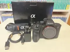 2025年最新】ソニーα7IVボディILCE_7M4の人気アイテム - メルカリ