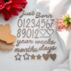 Item thumbnail for item 9c735bb0-acb0-47a6-ab10-5bef37c9f311