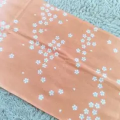 Item thumbnail for item bd1ec37b-d6bb-4ff1-926e-c2eb94eeb2ba