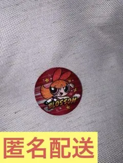 パワーパフガールズ刺繍缶バッジ
