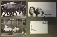 COMME des GARÇONS HOMME DM 1988年春夏秋 3点