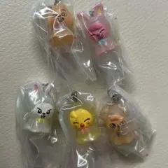 SKZOO めじるしアクセサリー　5点セット