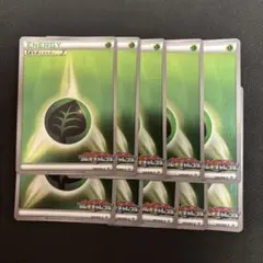 基本草エネルギー ジムチャレンジ プロモ ミラー 10枚