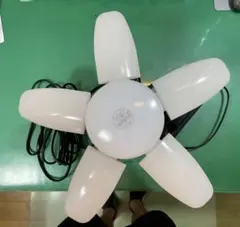 Item thumbnail for item 514db644-39f9-42fc-a88e-75eec6bf1694