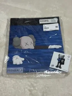トート付き UNIQLO kaws カウズ ウォーホール アートブック 本 - メルカリ