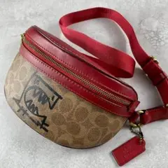 ✨稀少✨美品✨コーチ ボディバッグ ショルダー レキシー コラボ シグネチャー 2025年最新】coachレキシーの人気アイテム - メルカリ
