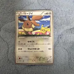 2026年最新】ポケモンカード イーブイ 189/BW-P プロモの人気アイテム