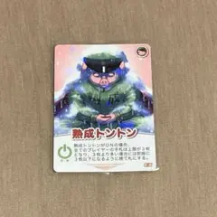 トントン インパクトミー熟成トントン ホロ