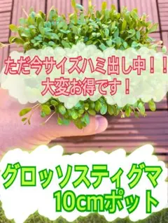 cooc(^^)ハンドメイドの為値引不可様 リクエスト 2点 まとめ商品