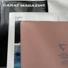 SEVENTEEN 会報誌CARAT Vol.11-13 セット