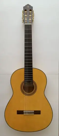 Paco Castillo Model 203(管理イキ) - メルカリ