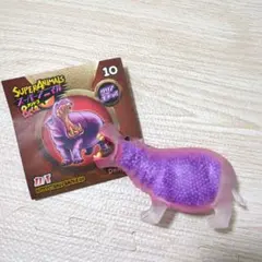 カバ　ブックレット スーパーアニマル　&co デアゴスティーニ　アンドコ