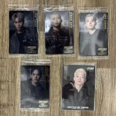 Item thumbnail for item e1708677-8139-4205-b766-a08edcbfd0fa