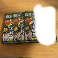 뱃속에 민물조개, 강황, 유산균이 들어간 굴 3종 세트