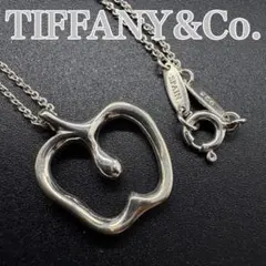 【美品】Tiffany ティファニー アップル スターリング ネックレス　76
