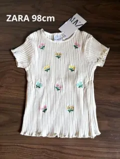 Item thumbnail for item 4140d096-261f-441d-8c4c-d00ab6d01229