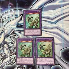 遊戯王　ナチュルエクストリオ　スーパー　3枚　c