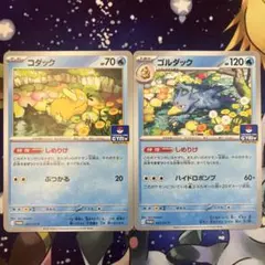 コダック　しめりけ　ゴルダック　しめりけ　２枚セット