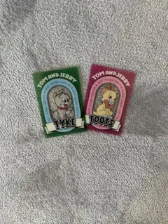 Item thumbnail for item 85ea6295-ace6-4477-b48b-e2447145140b