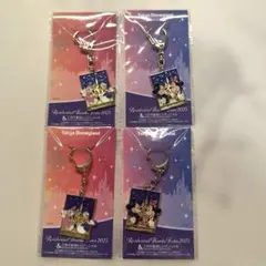 三井不動産レジデンシャルオリジナル東京ディズニーリゾート®️キーホルダー