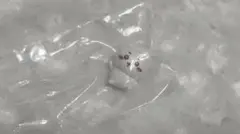 ちいかわ ハグコット4 ガシャポン ケーブル アクセサリー