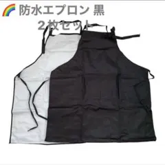 【2枚セット】防水エプロン 黒 シンプル 撥水 軽量 カフェ 掃除 園芸