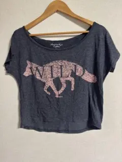 American Eagle Outfitters Tシャツのサムネイル
