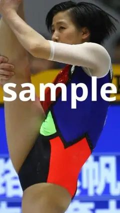 2015年 Team Japan 体操競技 画像集 21000枚 日本女子 - メルカリ