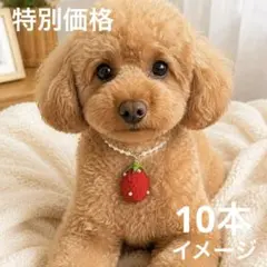ハンドメイド　業務用 いちご　ペットトリミングリボン チョーカー　10本セット