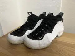 Nike Air Foamposite One White and Black