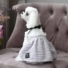 ANNA SUI 小型犬用フリルドレス　Sサイズ