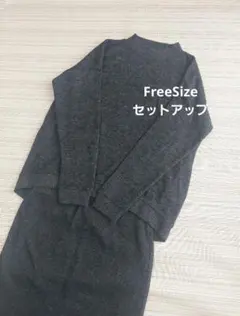 earth music&ecology ダークグレー スカートセットアップ