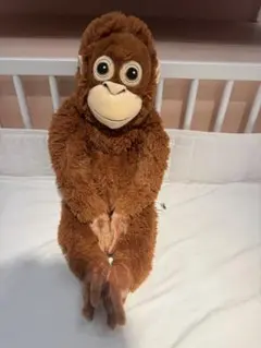 2026年最新】オラウータンの人気アイテム - メルカリ