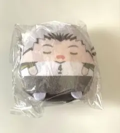 ハイキュー!! くじメイト ぬいくじ E賞 木兎