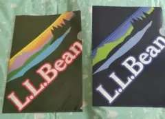 L.L. 빈 클리어 파일 2종 세트