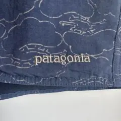 【早い者勝ち】Patagonia総柄ショーツ　W28