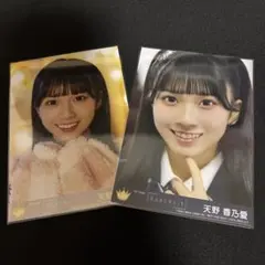 Item thumbnail for item 45f98ee3-a15a-4d6a-b7be-84c2a6ea698b